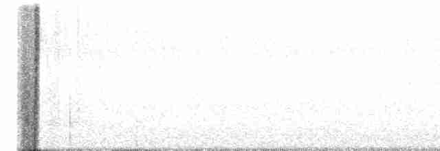 Дрізд-короткодзьоб плямистоволий - ML618745862