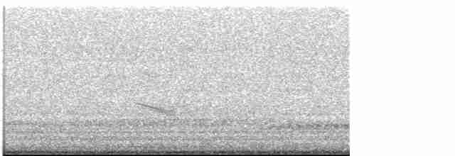 Дрізд-короткодзьоб плямистоволий - ML618746700