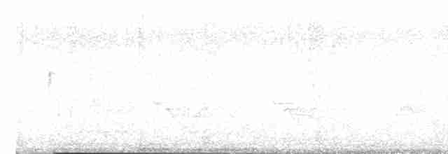 Weißbrustkleiber - ML618747105