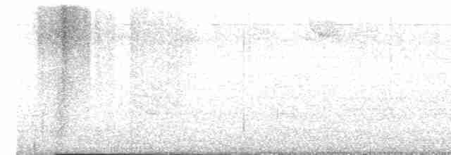 Белогорлая зонотрихия - ML618747114
