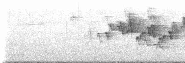Canada Warbler - ML618747938