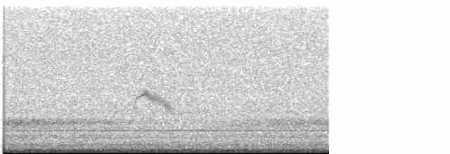 Дрізд-короткодзьоб малий - ML618747993