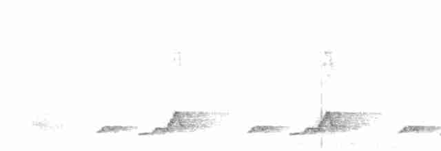 Schwarzkehl-Nachtschwalbe - ML618748017