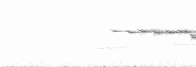 Black-throated Green Warbler - ML618748117