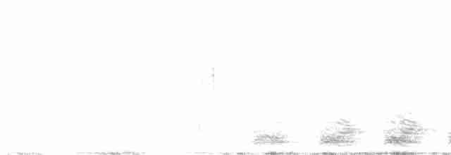 Trogon élégant (groupe ambiguus) - ML618748418