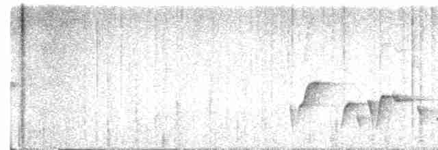 Серогрудый крапивник - ML618748524