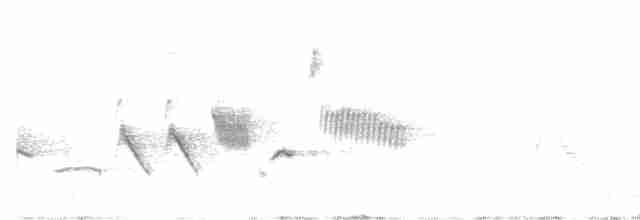 Пестрогрудая овсянка [группа schistacea] - ML618749324