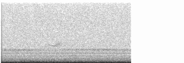 Дрізд-короткодзьоб бурий - ML618749340