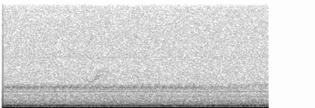 Kara Kanatlı Piranga - ML618749369