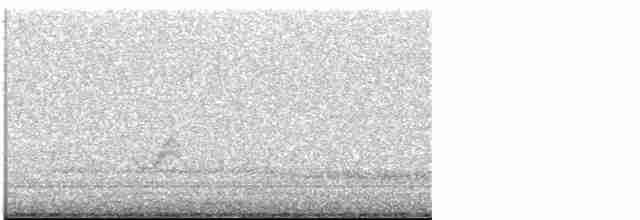 Kara Kanatlı Piranga - ML618749370
