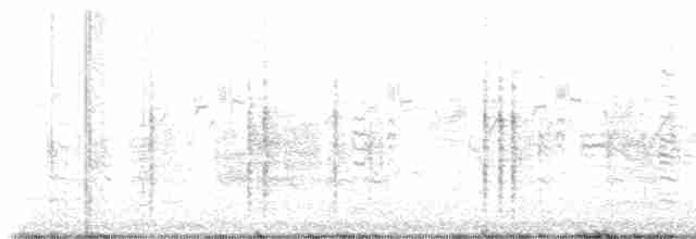 Oriental Reed Warbler - ML618749439