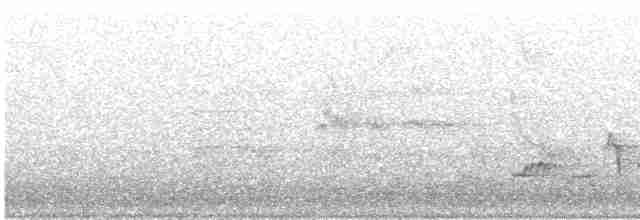 Дрізд-короткодзьоб Cвенсона - ML618749488
