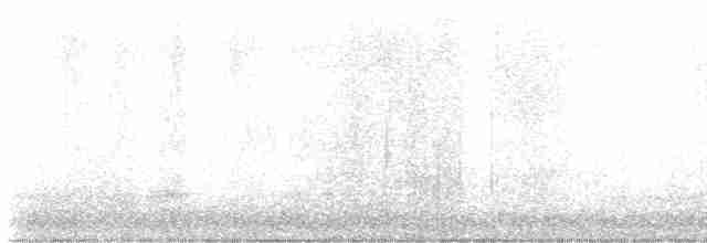 Black-throated Gray Warbler - ML618750024