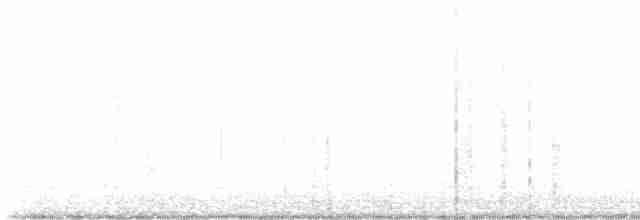 Winternachtschwalbe - ML618751000