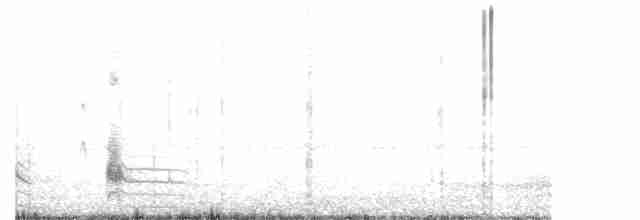 Перепелиця строкатобока - ML618751250