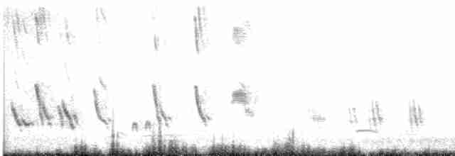 Büyük Mor Kırlangıç - ML618751684