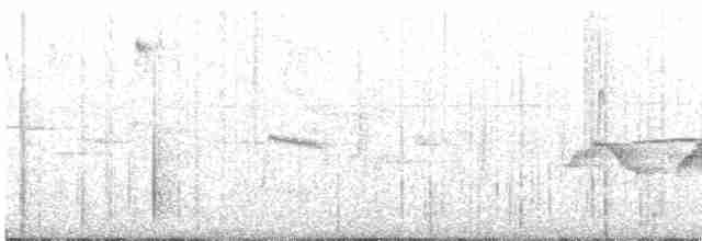 Paradoxornis de Verreaux - ML618751834