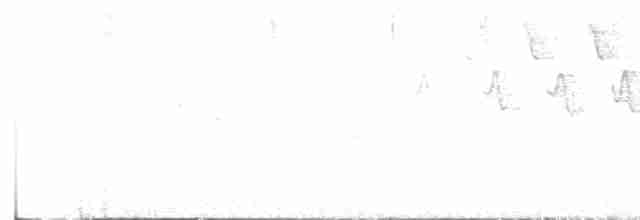 Червоїд сіроголовий - ML618752213