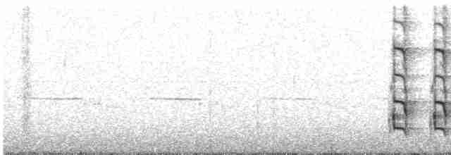 נקר אפור-ראש - ML618752219