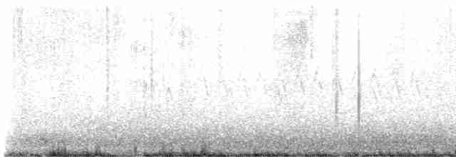 Шишкар ялиновий - ML618752299
