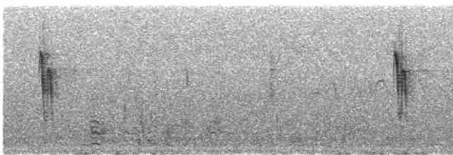 白喉文鳥 - ML618752383