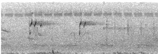 Малый пегий зимородок - ML618752388