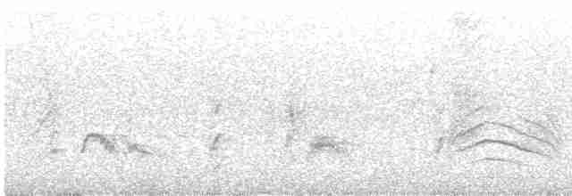 Пересмішник сірий - ML618752640