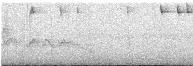 火冠戴菊鳥 - ML618752721