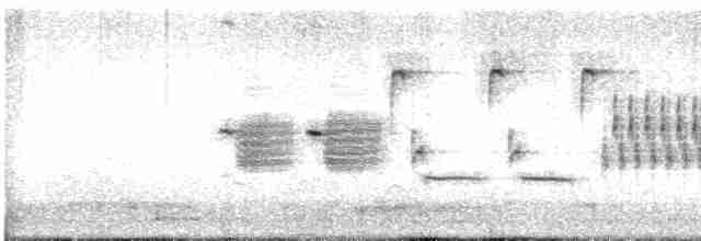 גיבתונית רוננת - ML618752849