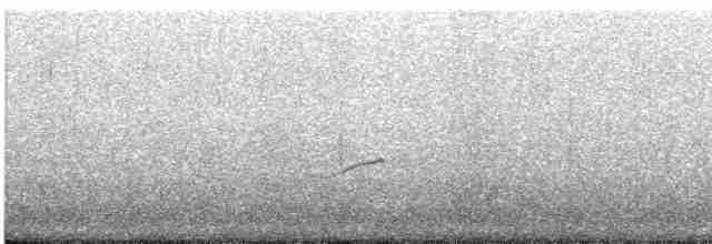 Gray-tailed Tattler - ML618752882
