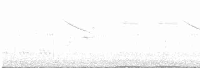 White-crowned Penduline-Tit - ML618753118