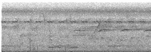 hrdlička kropenatá - ML618753137