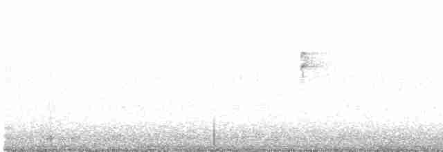 strnadec bělopásý - ML618753138