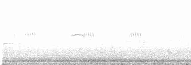 Вівчарик-ковалик (підвид tristis) - ML618753152