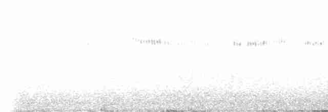 Широкохвостый колибри - ML618753238