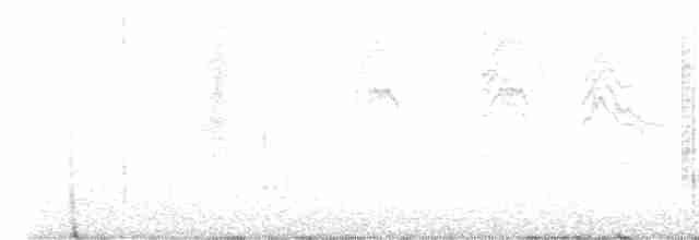 Black-throated Gray Warbler - ML618753250