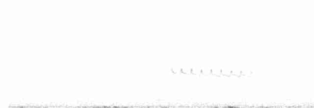 Kaya Çıtkuşu - ML618753299