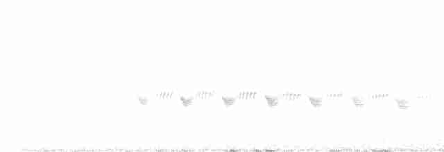 Kaya Çıtkuşu - ML618753300