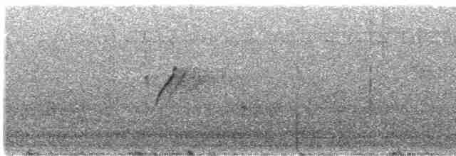 Атласная нектарница - ML618753502