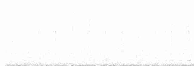 Chevêchette naine - ML618753561