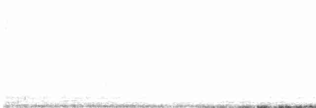 Kanada Kargası (obscurus/griseus) - ML618754068