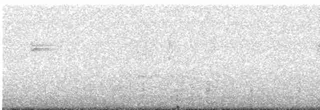 Spotless Crake - ML618754192
