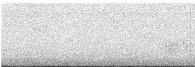 Spotless Crake - ML618754197