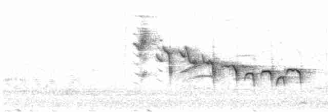 Принія жовточерева (підвид sonitans) - ML618754704