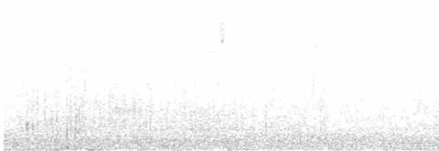 Troglodyte de Baird - ML618754882