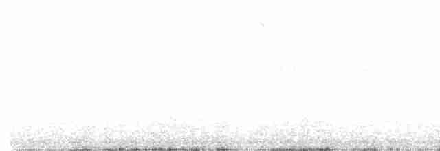 Black-throated Gray Warbler - ML618755071