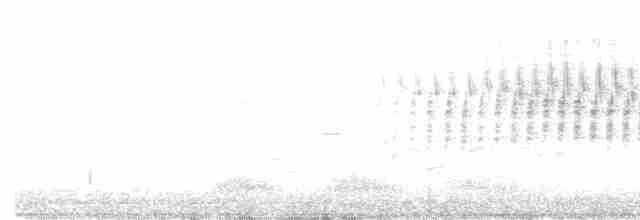 Малая воробьиная овсянка - ML618755124