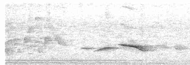 Kabarık Gerdanlı Ardıçesmeri - ML618755350