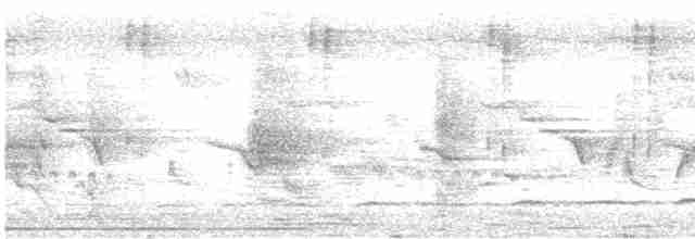 Зозуля білогорла - ML618755928