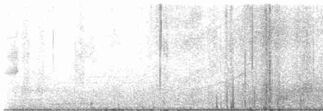 Loggerhead Shrike - ML618758284